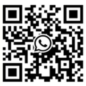 +8615968076369