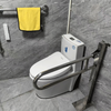 HR-DUO Flip-Up Floor-Mounted Toilet Grab Bar