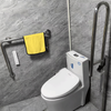 HR-DUO Flip-Up Floor-Mounted Toilet Grab Bar